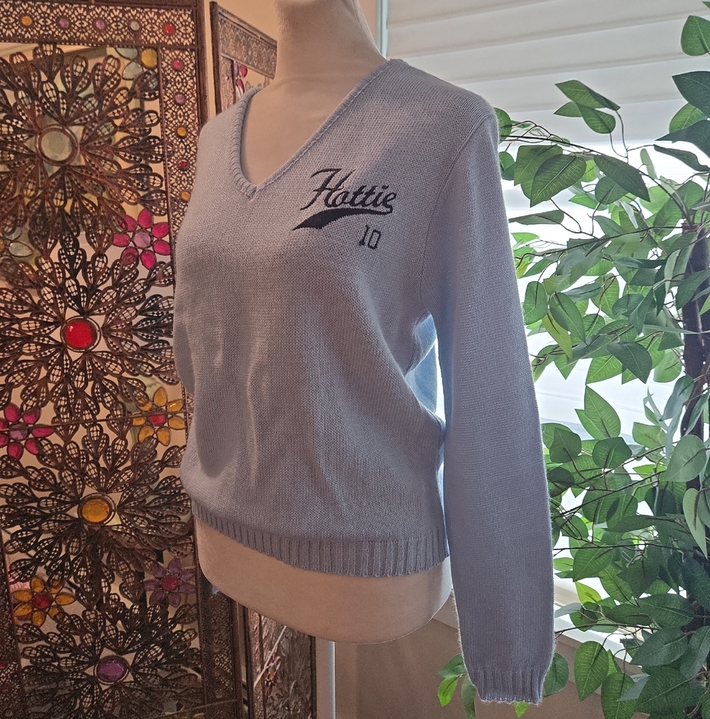 Vintage 90s Embroidered V-Neck Blue Preppy Country Club USA Sweater Women Large